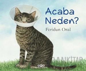 Acaba Neden?
