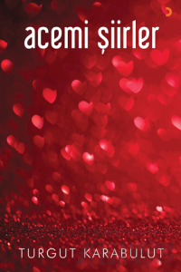 Acemi Şiirler