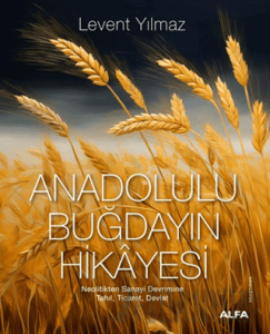 Anadolulu Buğdayın Hikayesi