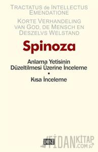 Anlama Yetisinin Düzeltilmesi Üzerine İnceleme