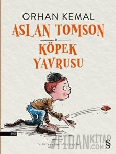 Aslan Tomson Köpek Yavrusu