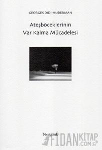 Ateşböceklerinin Var Kalma Mücadelesi