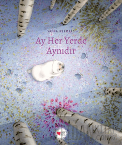 Ay Her Yerde Aynıdır