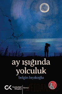 Ay Işığında Yolculuk