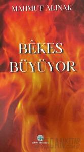 Bekes Büyüyor