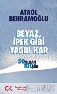 Beyaz İpek Gibi Yağdı Kar