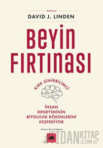 Beyin Fırtınası
