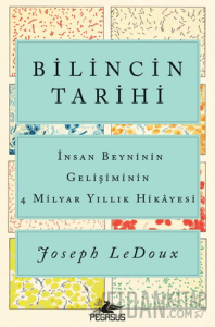 Bilincin Tarihi: İnsan Beyninin Gelişiminin 4 Milyar Yıllık Hikayesi