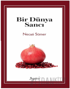 Bir Dünya Sancı