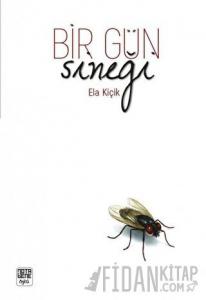 Bir Gün Sineği