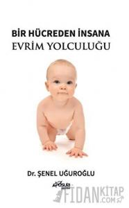 Bir Hücreden İnsana Evrim Yolculuğu