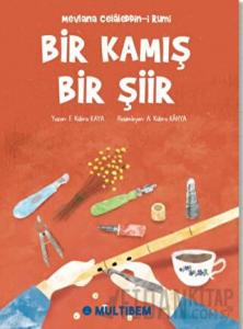 Bir Kamış Bir Şiir