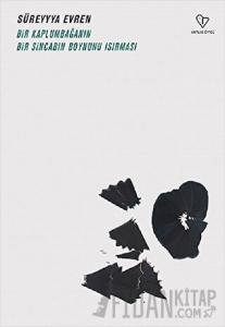 Bir Kaplumbağanın Bir Sincabın Boynunu Isırması