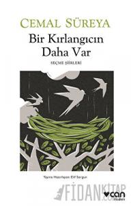 Bir Kırlangıcın Daha Var