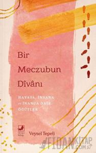 Bir Meczubun Divanı