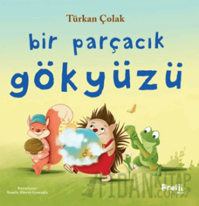 Bir Parçacık Gökyüzü