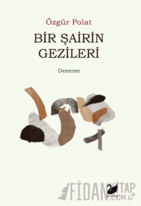 Bir Şairin Gezileri
