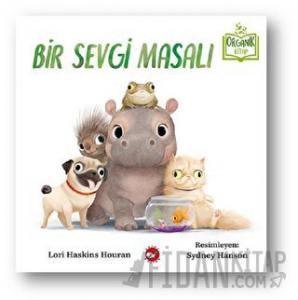 Bir Sevgi Masalı (Ciltli)