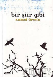 Bir Şiir Gibi