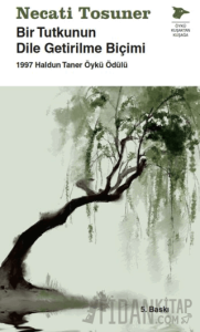 Bir Tutkunun Dile Getirilme Biçimi