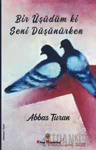 Bir Üşüdüm ki Seni Düşünürken