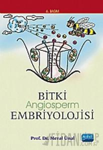 Bitki Angiosperm Embriyolojisi