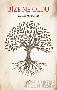 Bize Ne Oldu