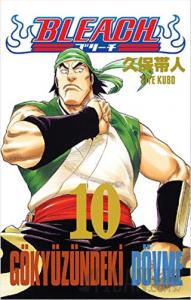 Bleach 10. Cilt