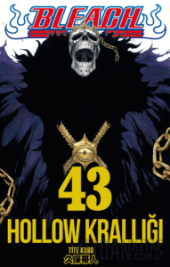 Bleach 43. Cilt