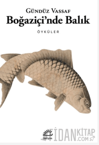 Boğaziçi'nde Balık