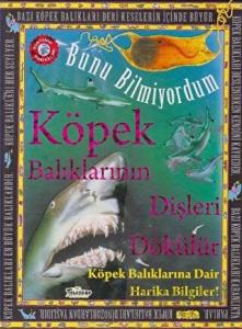 Bunu Bilmiyordum - Köpek Balıklarının Dişleri Dökülür