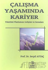 Çalışma Yaşamında Kariyer