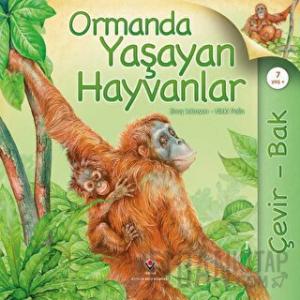 Çevir Bak - Ormanda Yaşayan Hayvanlar (Ciltli)