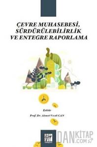 Çevre Muhasebesi, Sürdürülebilirlik ve Entegre Raporlama