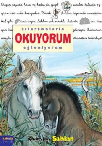 Çıkartmalarla Okuyorum Eğleniyorum -Küçük Tay Şahlan