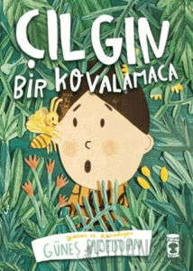 Çılgın Bir Kovalamaca