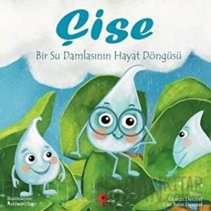 Çise: Bir Su Damlasının Hayat Döngüsü