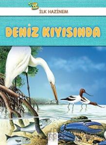Deniz Kıyısında - İlk Hazinem