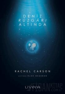 Deniz Rüzgarı Altında