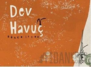 Dev Havuç