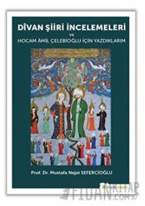 Divan Şiiri İncelemeleri ve Hocam Amil Çelebioğlu İçin Yazdıklarım