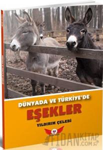 Dünyada Ve Türkiye’de Eşekler