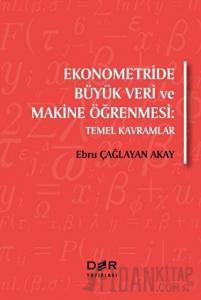 Ekonometride Büyük Veri ve Makine Öğrenmesi