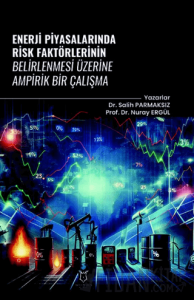 Enerji Piyasalarında Risk Faktörlerinin Belirlenmesi Üzerine Ampirik Bir Çalışma