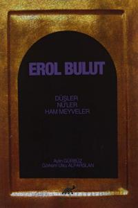 Erol Bulut