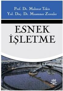 Esnek İşletme