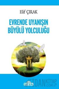 Evrende Uyanışın Büyülü Yolculuğu