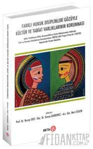 Farklı Hukuk Disiplinleri Gözüyle Kültür ve Tabiat Varlıklarının Korunması