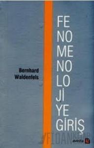 Fenomenolojiye Giriş
