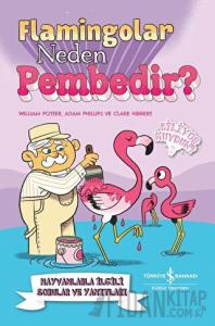Flamingolar Neden Pembedir? Hayvanlarla İlgili Sorular ve Yanıtları
